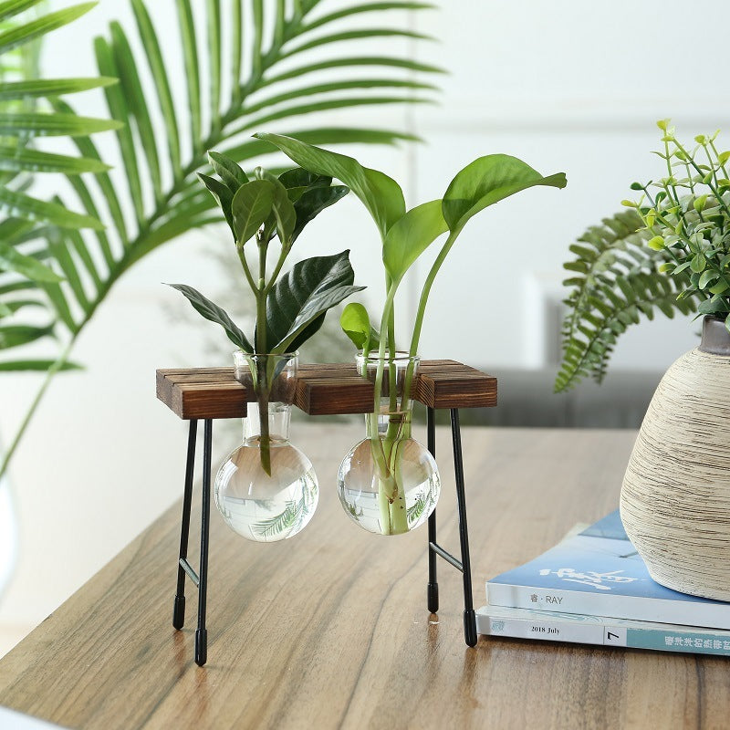 Rustic Plant Terrarium with Wooden Stand (Various Sizes)