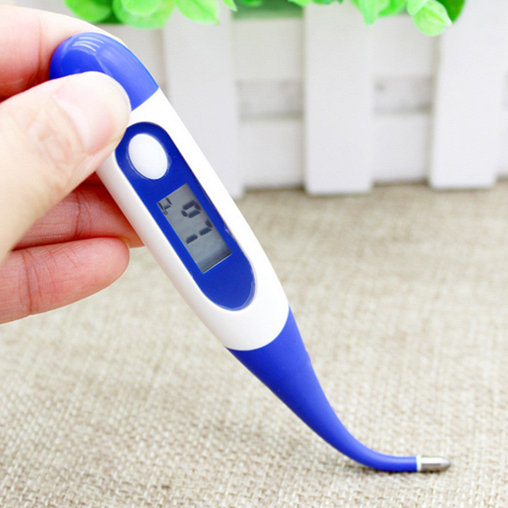 Digital Electronic Waterproof Thermometer