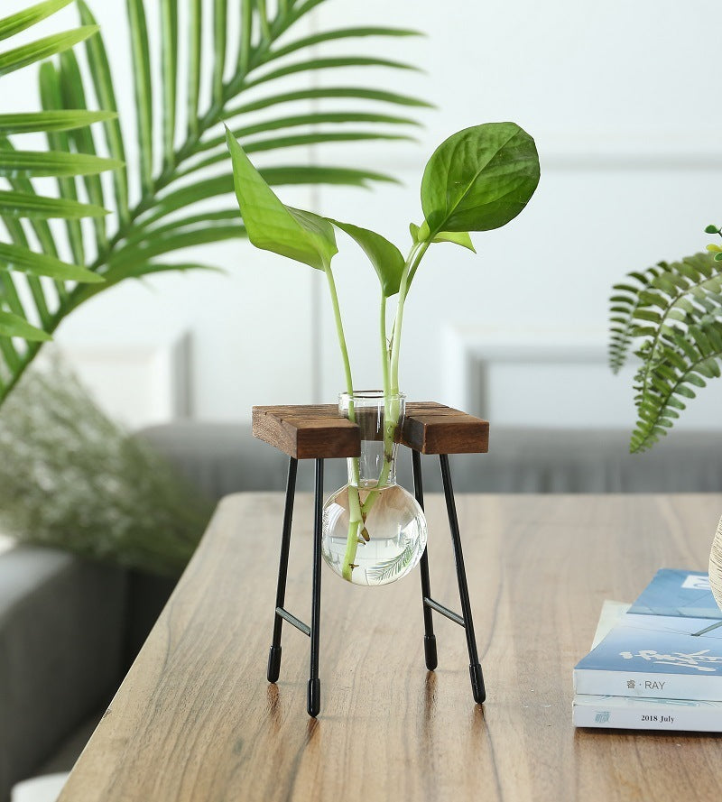 Rustic Plant Terrarium with Wooden Stand (Various Sizes)