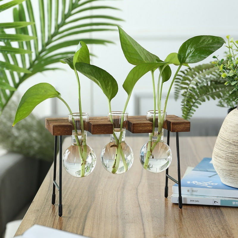 Rustic Plant Terrarium with Wooden Stand (Various Sizes)