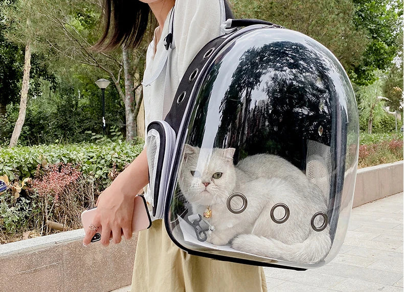 Transparent Cat Carrying Bags Space Breathable Pet Backpack Portable Puppy Dog Backpack Transport Carrier Space Capsule Bag Pets